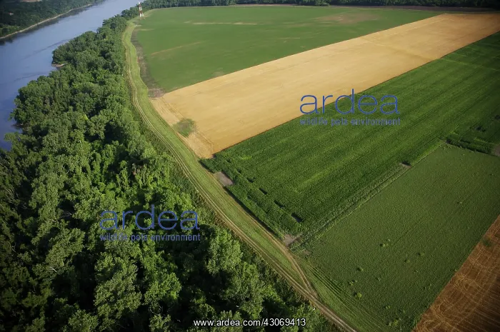 : Levee and Farmlands : Levee and Farmlands