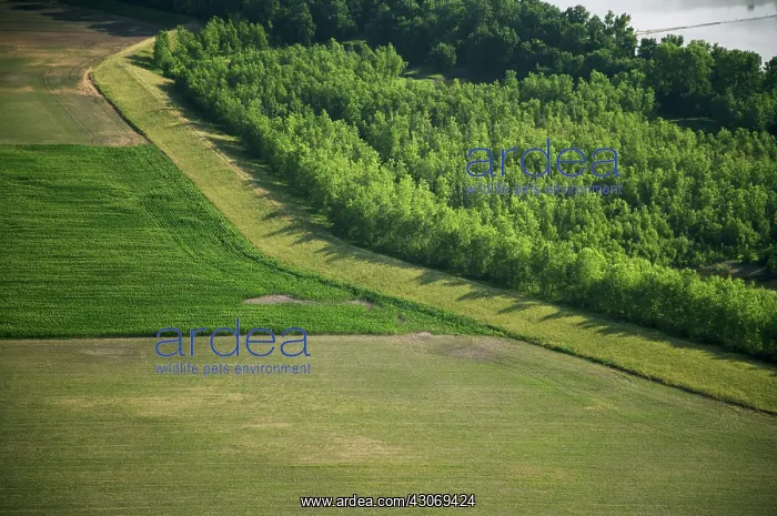 : Levee and Farmlands : Levee and Farmlands