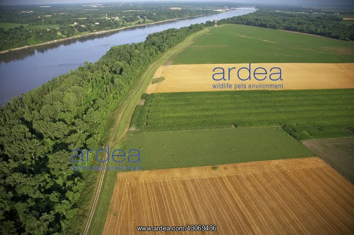 : Levee and Farmlands : Levee and Farmlands