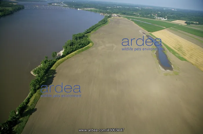 : Levee and Farmlands : Levee and Farmlands