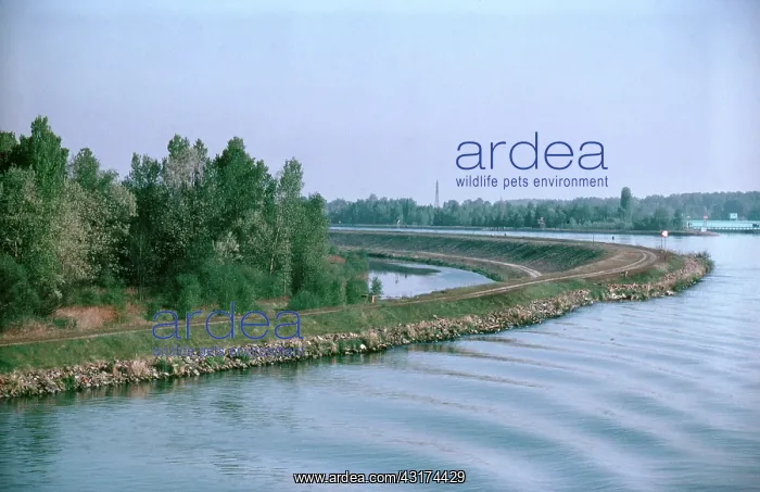 : Levee on the Mississippi : Levee on the Mississippi