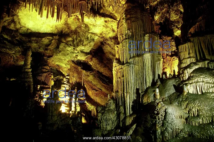 : Lewis and Clark Caverns : Lewis and Clark Caverns