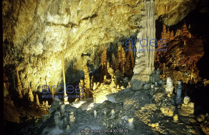 : Lewis and Clark Caverns : Lewis and Clark Caverns