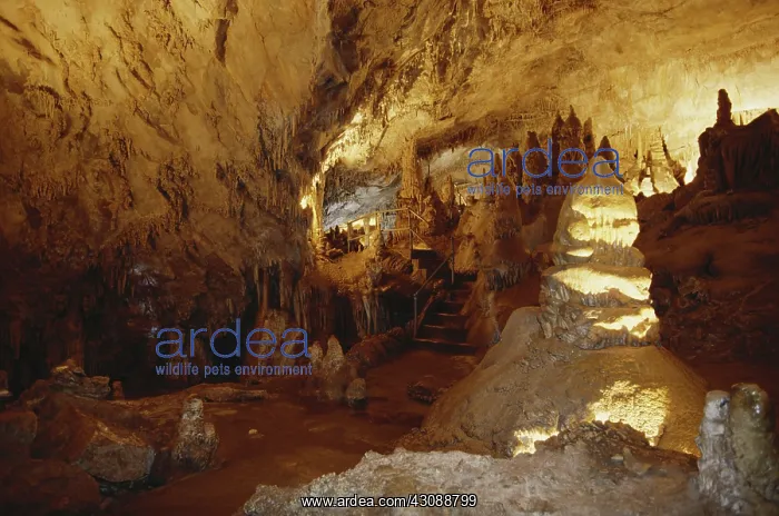 : Lewis and Clark Caverns : Lewis and Clark Caverns