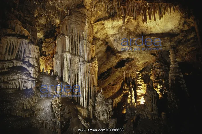 : Lewis and Clark Caverns : Lewis and Clark Caverns