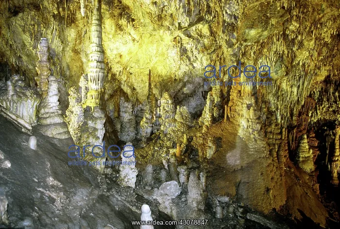 : Lewis and Clark Caverns, Montana : Lewis and Clark Caverns, Montana