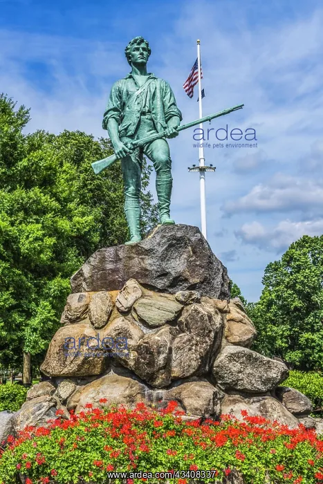 : Lexington Minute Man Patriot Statue, Lexington Battle : Lexington Minute Man Patriot Statue, Lexington Battle