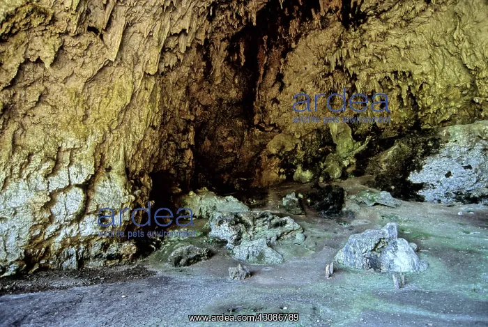  : Liang Bua: Flores Man (Hobbit) cave
