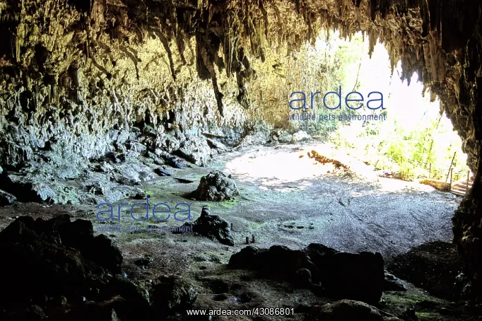 : Liang Bua: Flores Man (Hobbit) cave : Liang Bua: Flores Man (Hobbit) cave