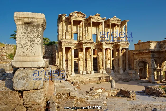 : The library of Celsus, the Roman ruins of Ephesos : The library of Celsus, the Roman ruins of Ephesos
