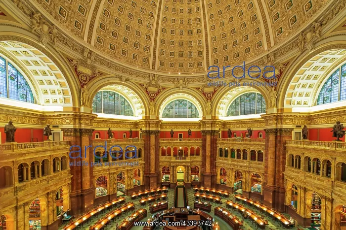 : The Library of Congress, Washington, D.C, USA : The Library of Congress, Washington, D.C, USA