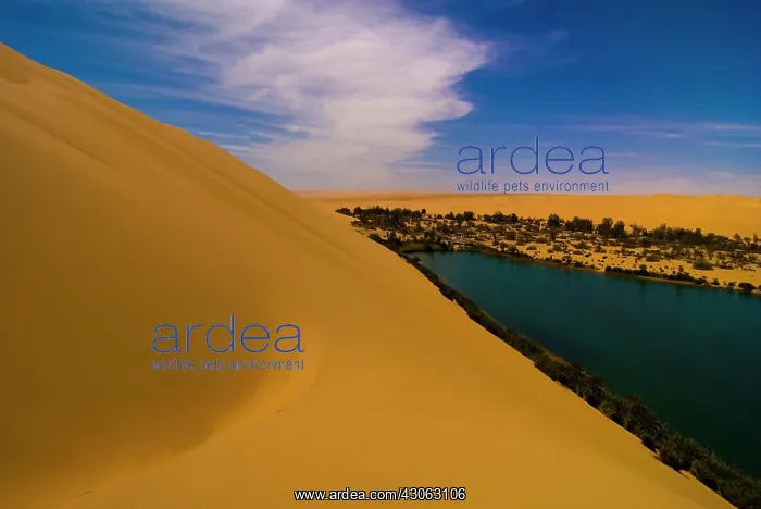 : Libya, Fezzan, desert Erg Ubari, Gabraoun : Libya, Fezzan, desert Erg Ubari, Gabraoun
