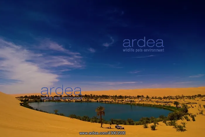: Libya, Fezzan, desert Erg Ubari, Gabraoun : Libya, Fezzan, desert Erg Ubari, Gabraoun