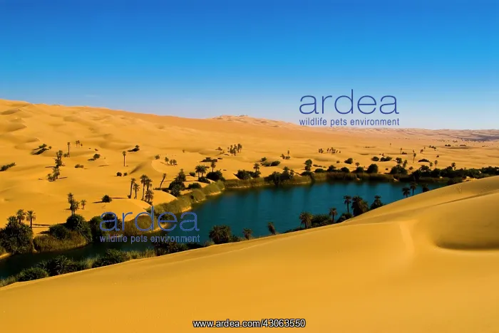 : Libya, Fezzan, desert Erg Ubari, Umm el : Libya, Fezzan, desert Erg Ubari, Umm el