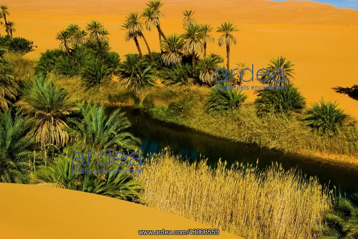 : Libya, Fezzan, desert Erg Ubari, Umm el : Libya, Fezzan, desert Erg Ubari, Umm el