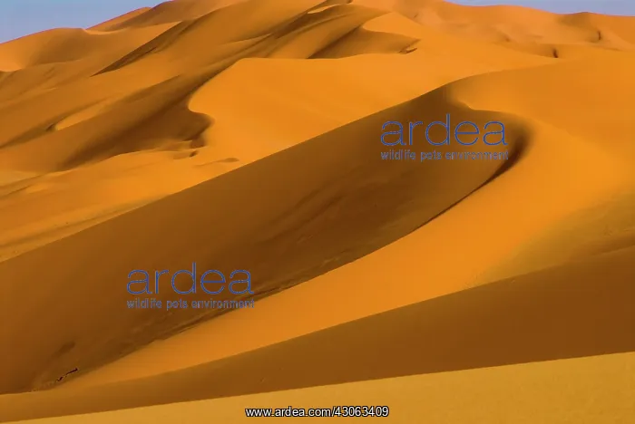 : Libya, Fezzan, dunes of Erg Murzuq : Libya, Fezzan, dunes of Erg Murzuq
