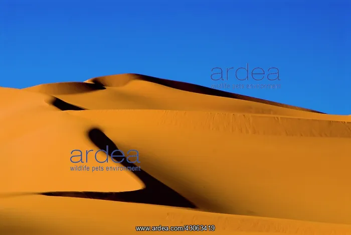 : Libya, Fezzan, dunes of the Erg Murzuq : Libya, Fezzan, dunes of the Erg Murzuq