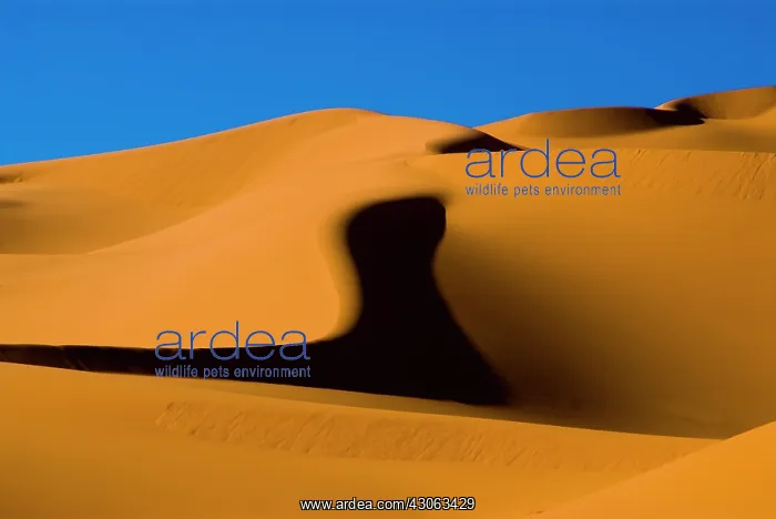 : Libya, Fezzan, dunes of the Erg Murzuq : Libya, Fezzan, dunes of the Erg Murzuq