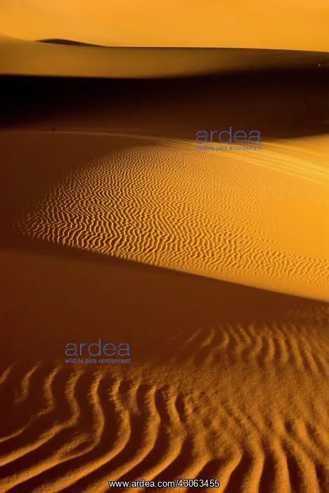 : Libya, Fezzan, dunes of the Erg Murzuq : Libya, Fezzan, dunes of the Erg Murzuq
