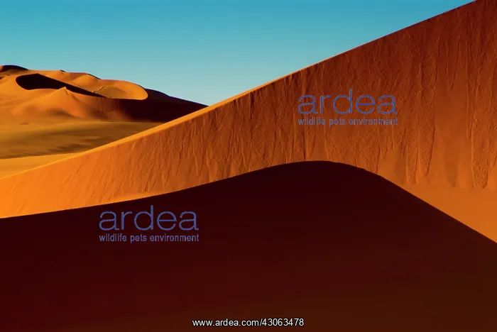 : Libya, Fezzan, dunes of the Erg Murzuq : Libya, Fezzan, dunes of the Erg Murzuq