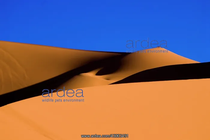 : Libya, Fezzan, dunes of the Erg Murzuq : Libya, Fezzan, dunes of the Erg Murzuq