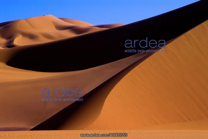 : Libya, Fezzan, dunes of Wan Kaza : Libya, Fezzan, dunes of Wan Kaza