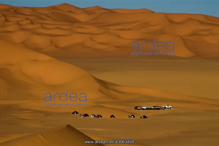: Libya, Fezzan, tourist camp among the dunes : Libya, Fezzan, tourist camp among the dunes