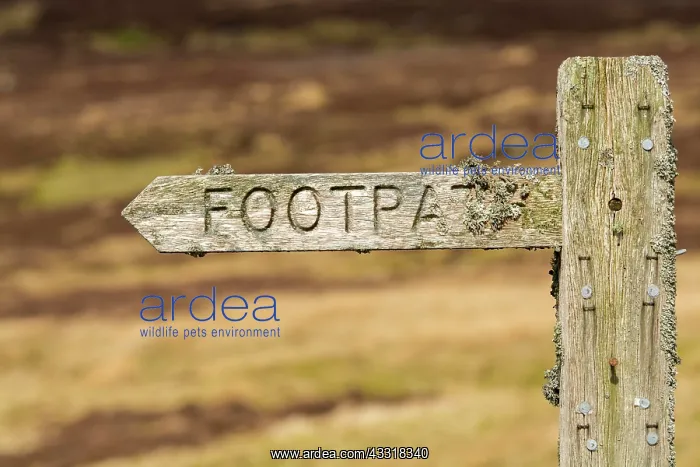: Lichen covered footpath sign on heather moorland : Lichen covered footpath sign on heather moorland