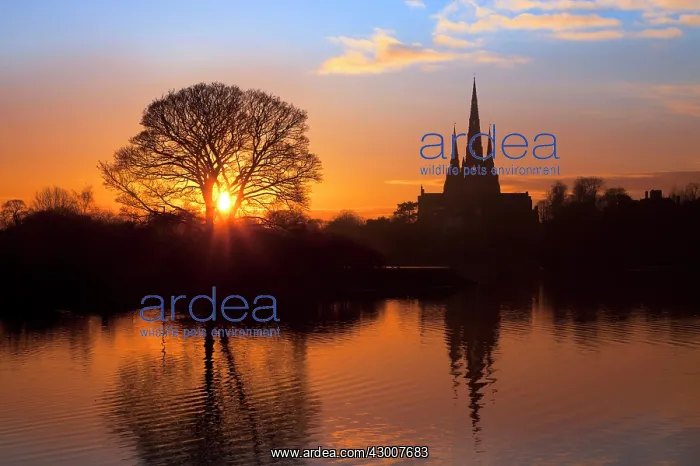: Lichfield Cathedral at sunset with reflections in : Lichfield Cathedral at sunset with reflections in
