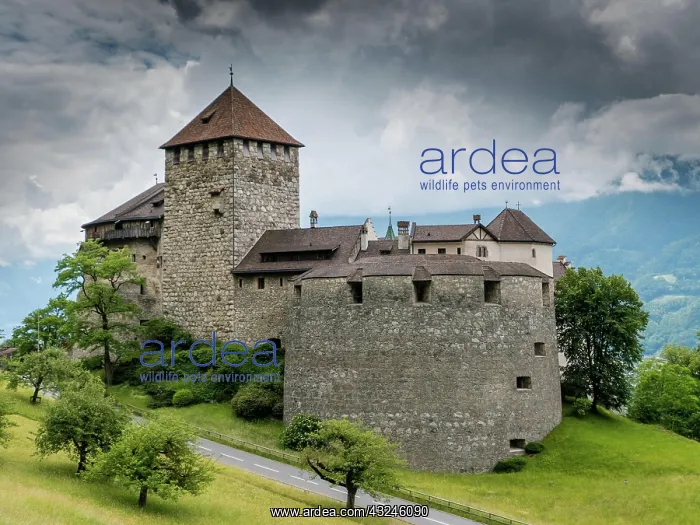 : Liechtenstein - 16 June 2019: A view of the historic : Liechtenstein - 16 June 2019: A view of the historic
