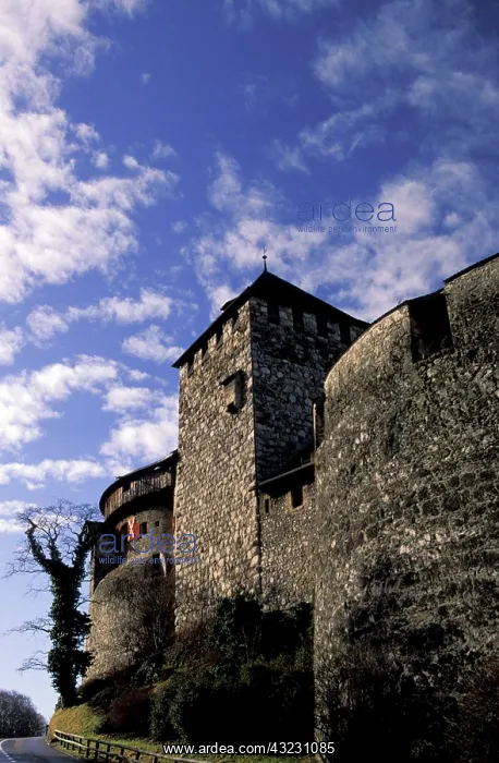 : Liechtenstein, Vaduz. Vaduz Castle : Liechtenstein, Vaduz. Vaduz Castle