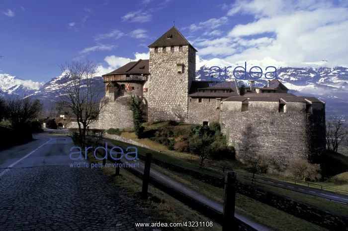 : Liechtenstein, Vaduz. Vaduz Castle in evening : Liechtenstein, Vaduz. Vaduz Castle in evening