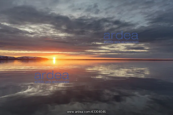  : Liefdefjorden at sunset - Svalbard - Norway