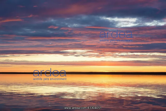  : Liefdefjorden at sunset - Svalbard - Norway