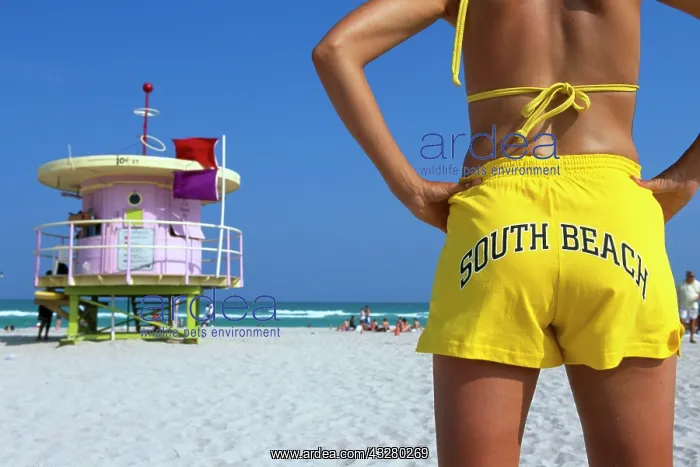 : Life Guard, South Beach, Miami Beach, Miami, Florida : Life Guard, South Beach, Miami Beach, Miami, Florida