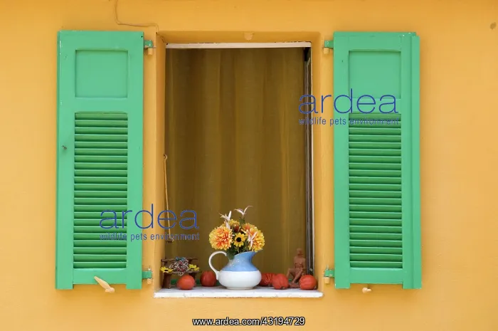 : Still life, window in the historic centre, Menton : Still life, window in the historic centre, Menton
