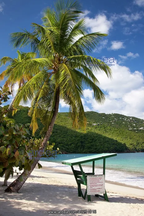 : Lifeguard stand at Megan's Bay, St Thomas : Lifeguard stand at Megan's Bay, St Thomas