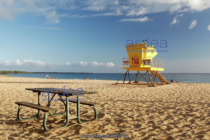 : Lifeguard tower, Big Beach, Makena State Park, Maui : Lifeguard tower, Big Beach, Makena State Park, Maui