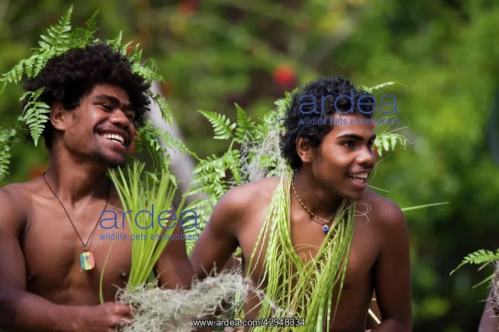 : Lifou Island traditional dancers : Lifou Island traditional dancers