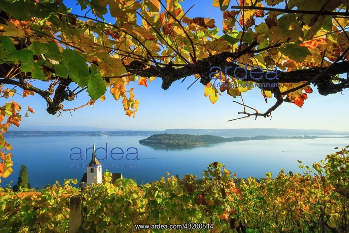 : Ligerz on Lake Biel, Bern, Switzerland, Europe : Ligerz on Lake Biel, Bern, Switzerland, Europe