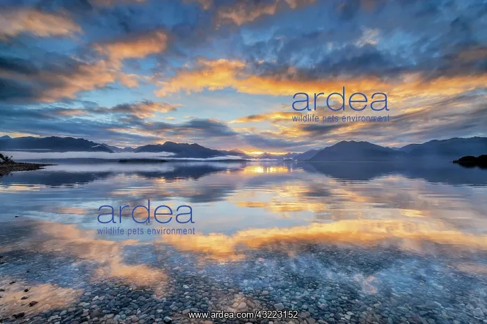 : Light beam of golden cloud atmosphere over Lake : Light beam of golden cloud atmosphere over Lake
