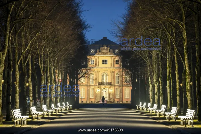 : The light benches by artist Stefan Sous in the Hofgarten : The light benches by artist Stefan Sous in the Hofgarten