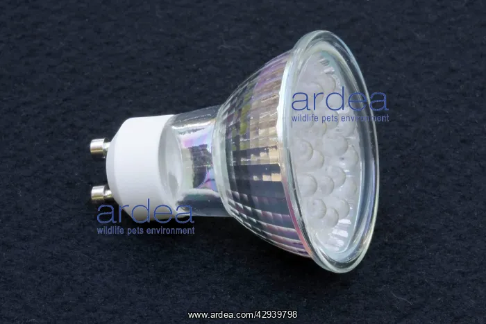 : Light Bulb - Impact GU10 low energy LED light cluster : Light Bulb - Impact GU10 low energy LED light cluster