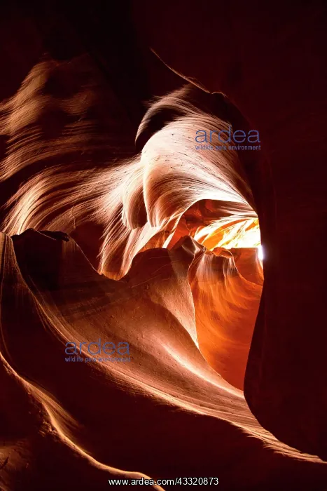 : Light through heart shaped sandstone formation : Light through heart shaped sandstone formation