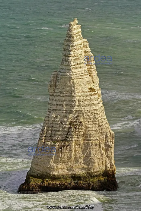 : Light mood at the chalk cliffs (Falaise d'Aval) : Light mood at the chalk cliffs (Falaise d'Aval)