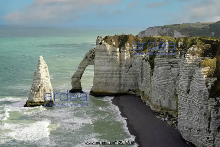 : Light mood at the chalk cliffs (Falaise d'Aval) : Light mood at the chalk cliffs (Falaise d'Aval)