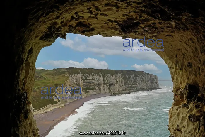 : Light mood at the chalk cliffs (Falaise d'Aval) : Light mood at the chalk cliffs (Falaise d'Aval)