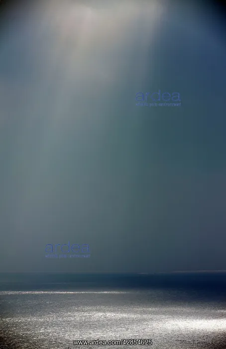 : Light and shade on the Atlantic Ocean in winter : Light and shade on the Atlantic Ocean in winter