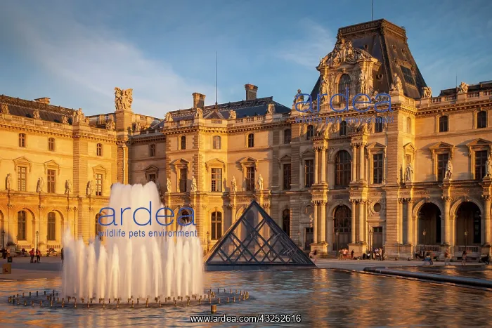 : Last light of sunset on the courtyard of : Last light of sunset on the courtyard of