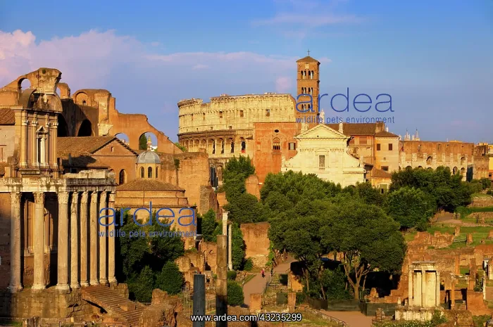 : The last light of sunset on the ruins of : The last light of sunset on the ruins of